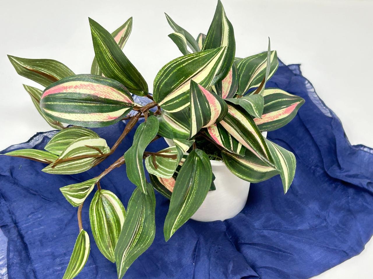 6.5&Prime; Mini VARIEGATED JEW faux Silk plant potted in matte white Ceramic Pot, hand