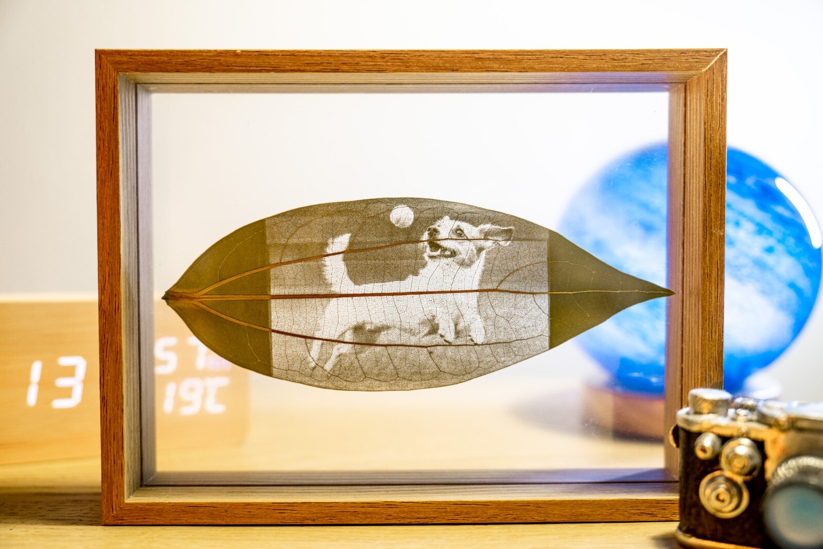 Custom Leaf Photo Engrave Carving Handmade Art Gift *Message Us Your Photo*