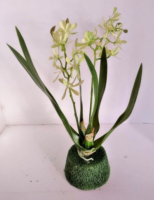 Artificial Mini Cattleya Orchid stem LIME GREEN