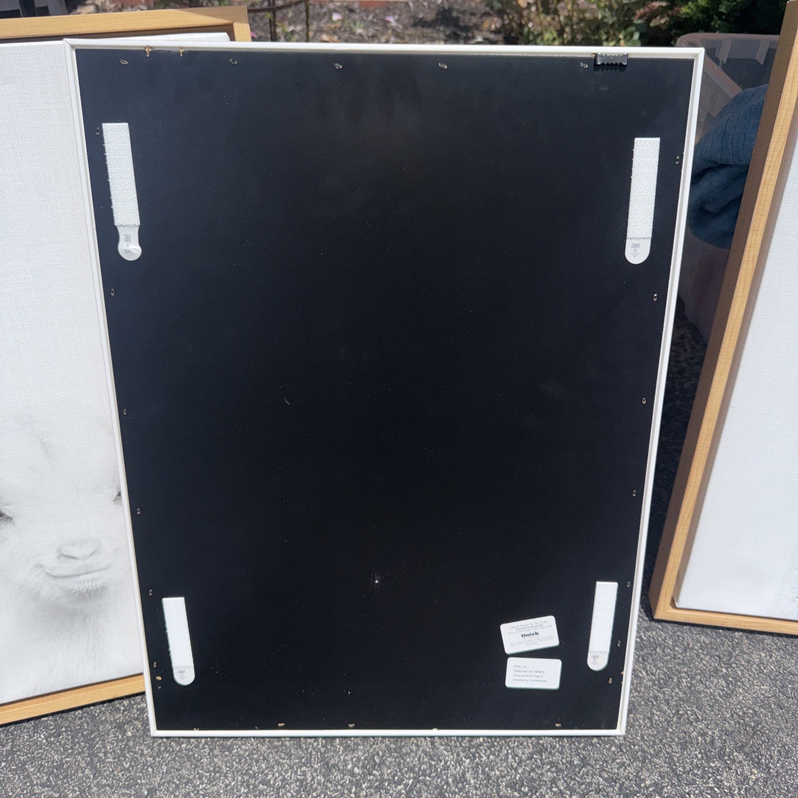 Bunny Framed Canvas Art 18×24 Simon Te Tai Prints -Kate and Laurel Sylvie
