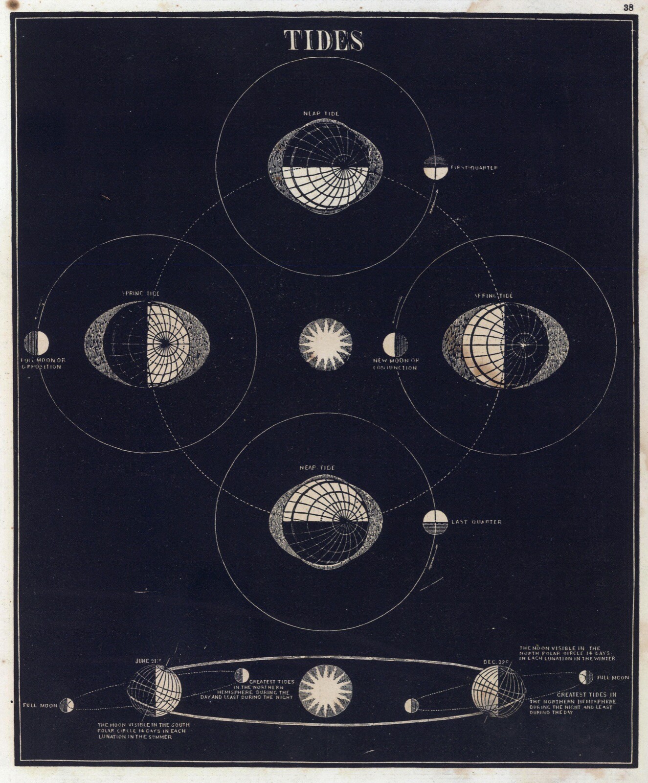 12243.Decor Poster.Vintage Interior wall art design.Earth tides Astronomy chart