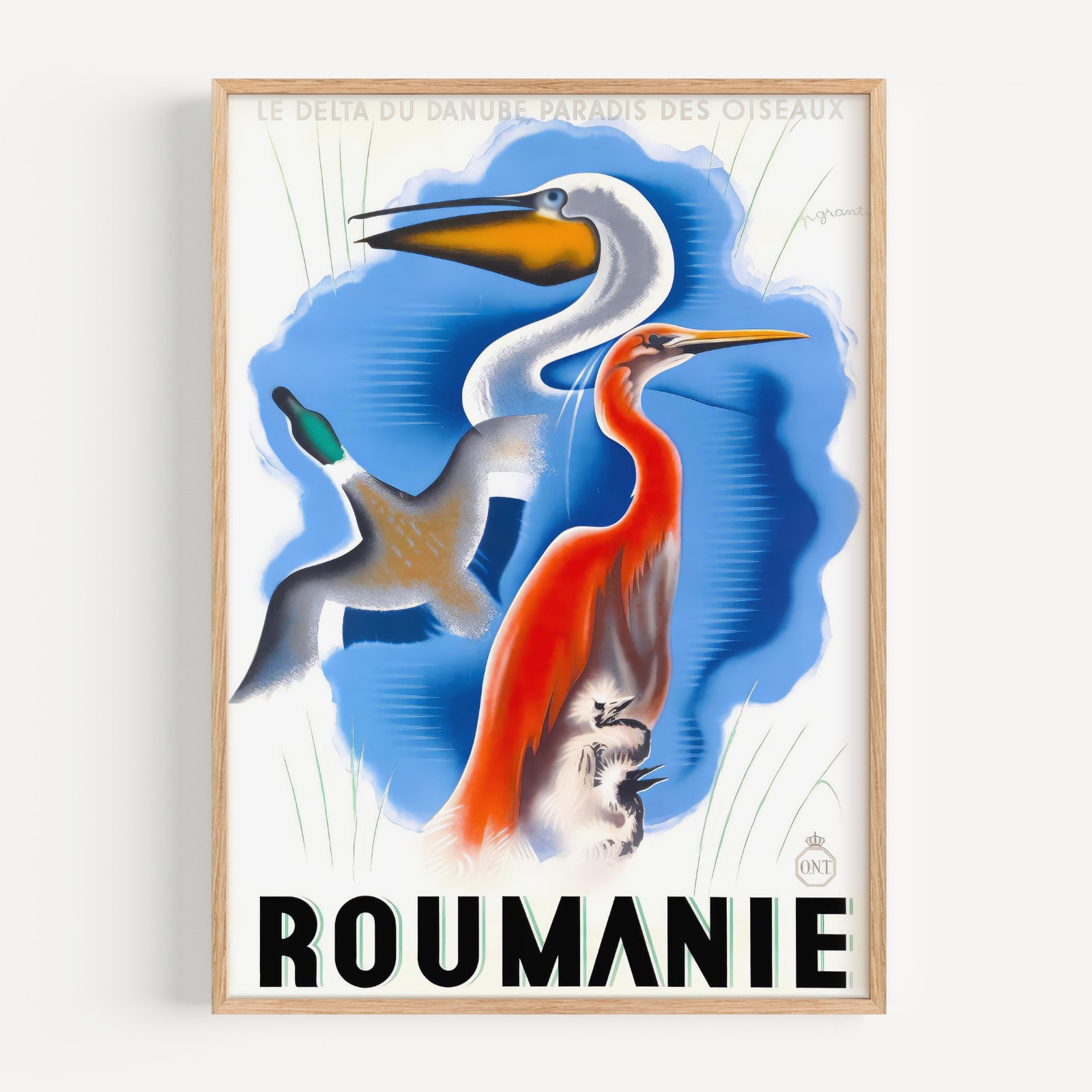 Roumanie Le Delta du Danube Paradis des Oiseaux 1937 Retro Travel Poster