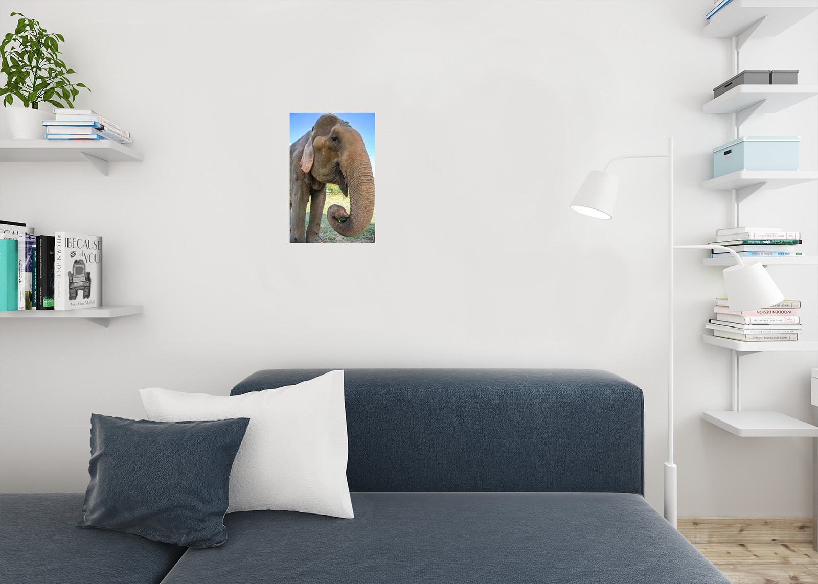 Asian Elephant Eating Pumpkin Wildlife Reserve Photo Art Print Poster 12×18