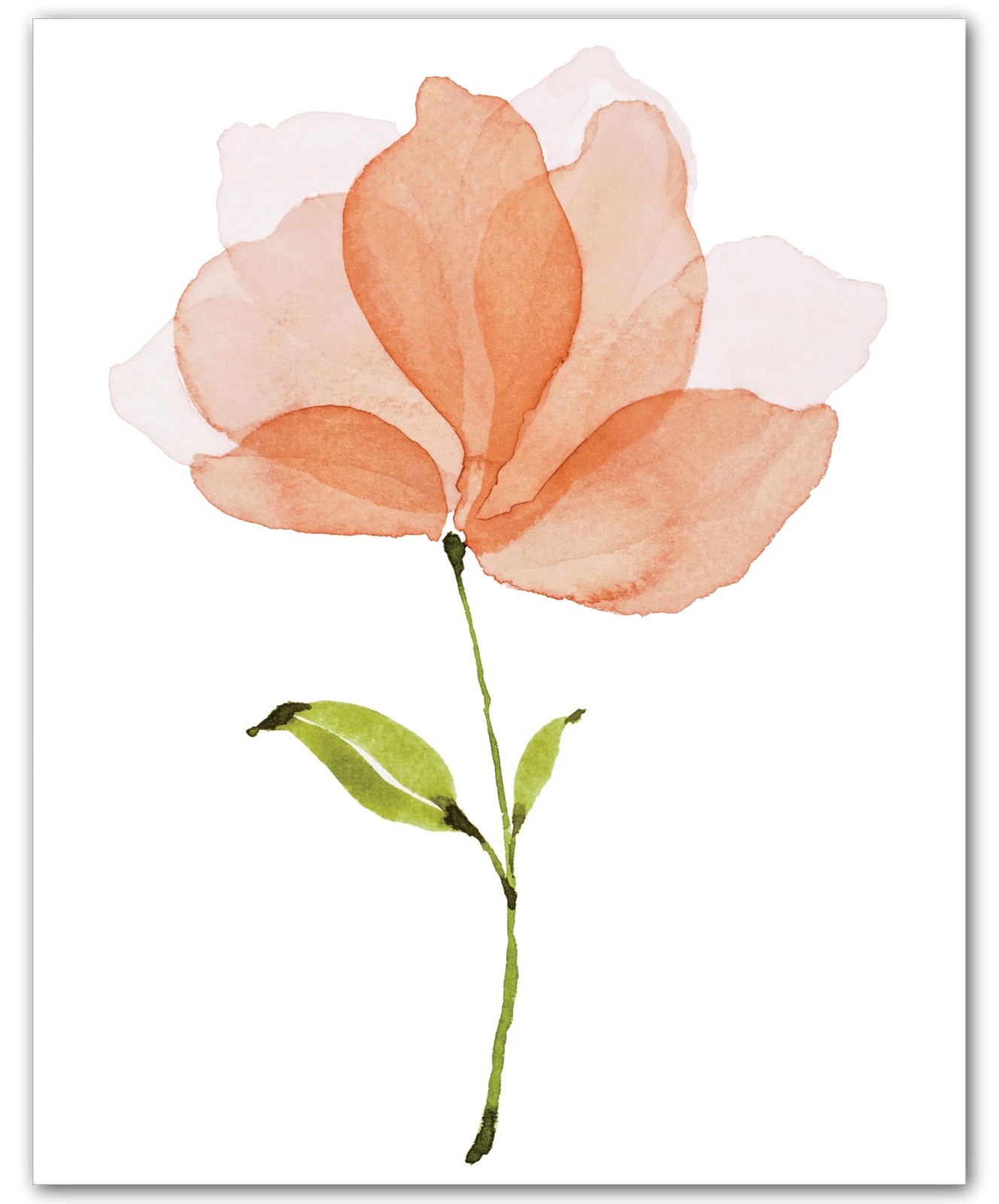 Botanical Single Peach Blossom Peach Flower 8×10 Floral Print Wall Art Poster