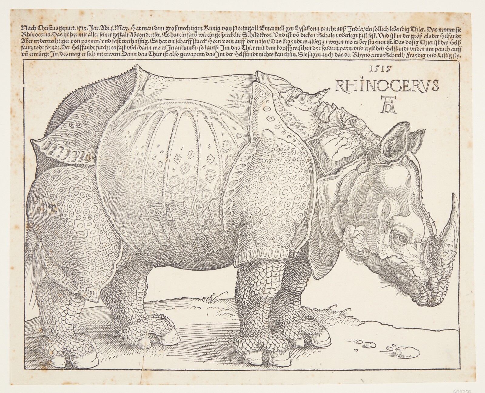 Poster Decoration.Home interior wall art design.Rhino.Durer drawing.15089