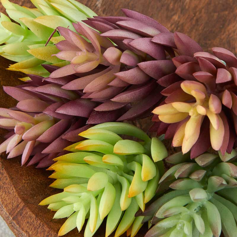 Package of 8 Assorted Color Indoor / Outdoor Artificial Succulent 5&Prime; Picks