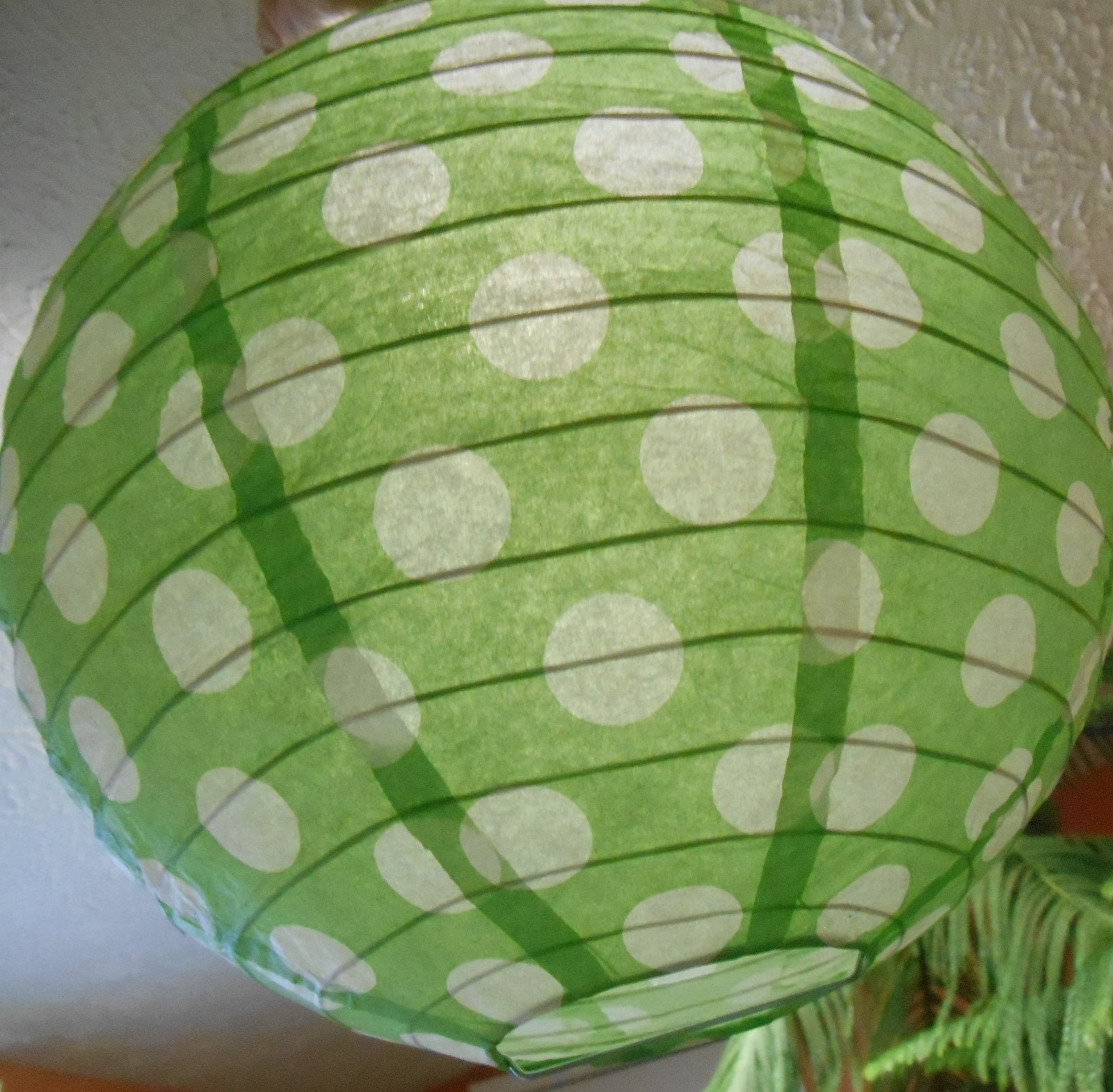 Party Paper Lantern 10&Prime; Metal Expander Green with White Polka Dots 1 Count