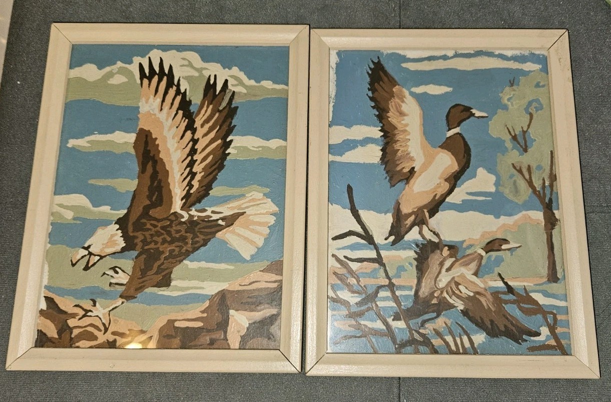 Vintage Paint By Numbers Eagle Ducks Retro Home Decor Painting 6&Prime; X 8&Prime; Framed