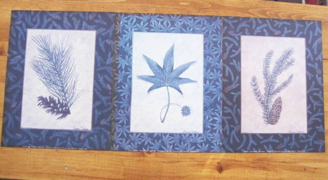 White Pine, Sweet Gum, Blue Spruce Prints Signed Susan Clickner 1998 set of 3