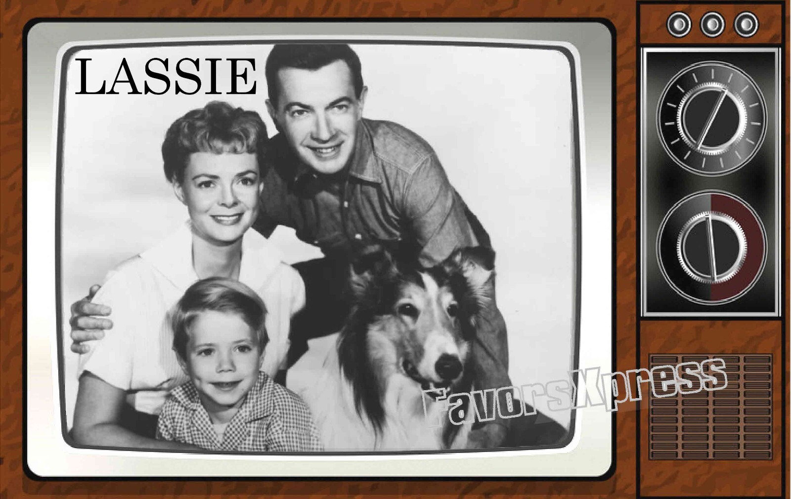 Lassie Classic TV Show PHOTO MAGNET 4 X 2.5 INCHES