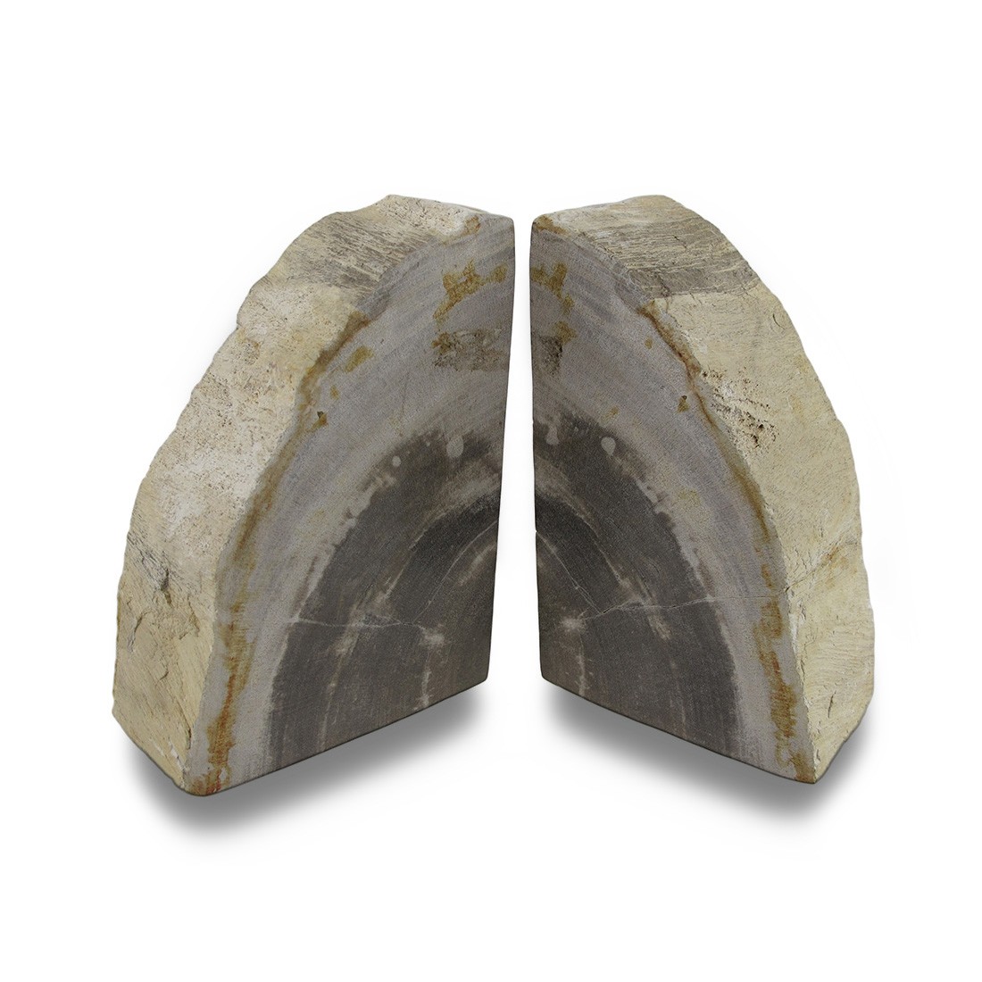 Scratch & Dent Indonesian Light Colored Petrified Wood Bookends 4-6 Pounds