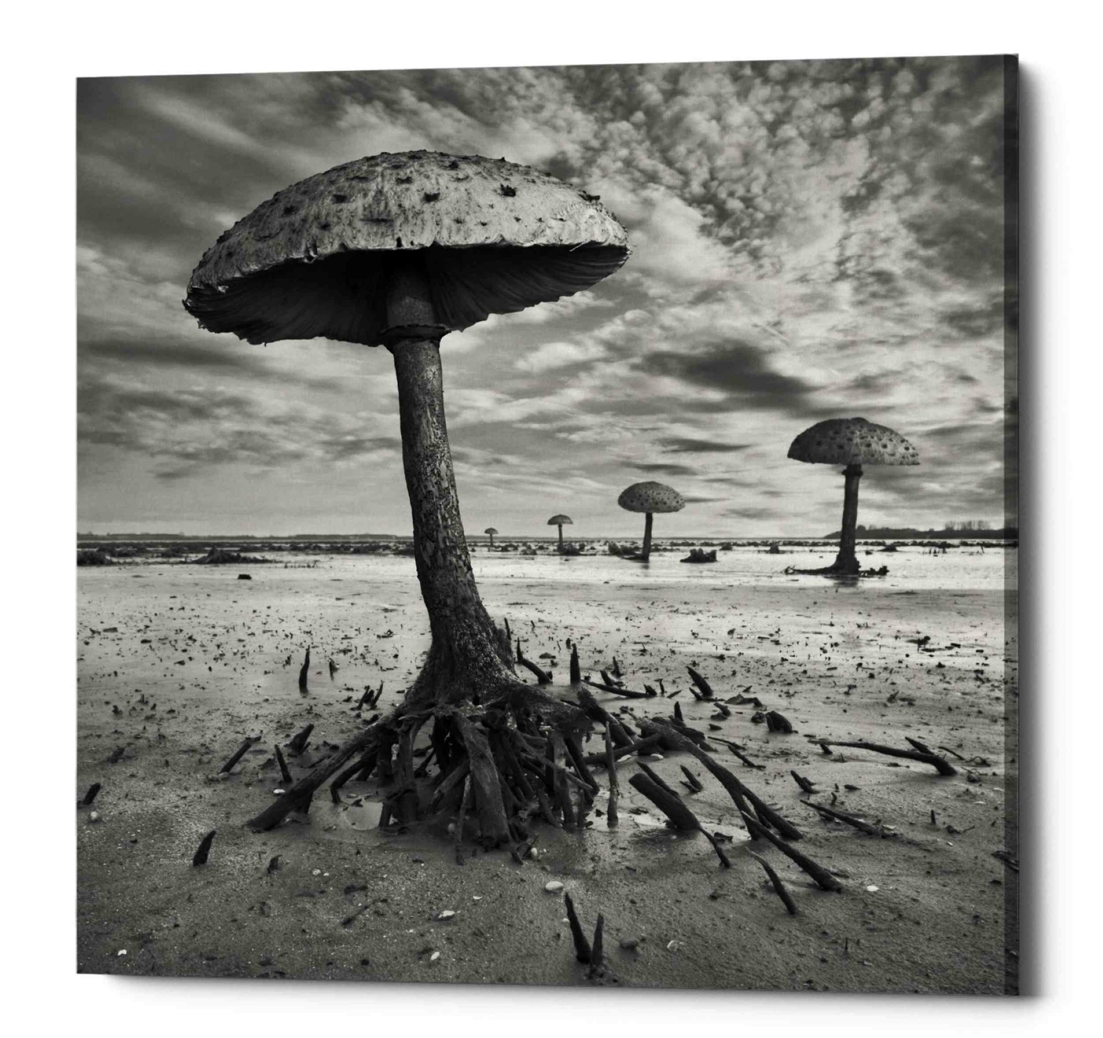 Epic Graffiti « Kanie » by Dariusz Klimczak, Giclee Canvas Wall Art