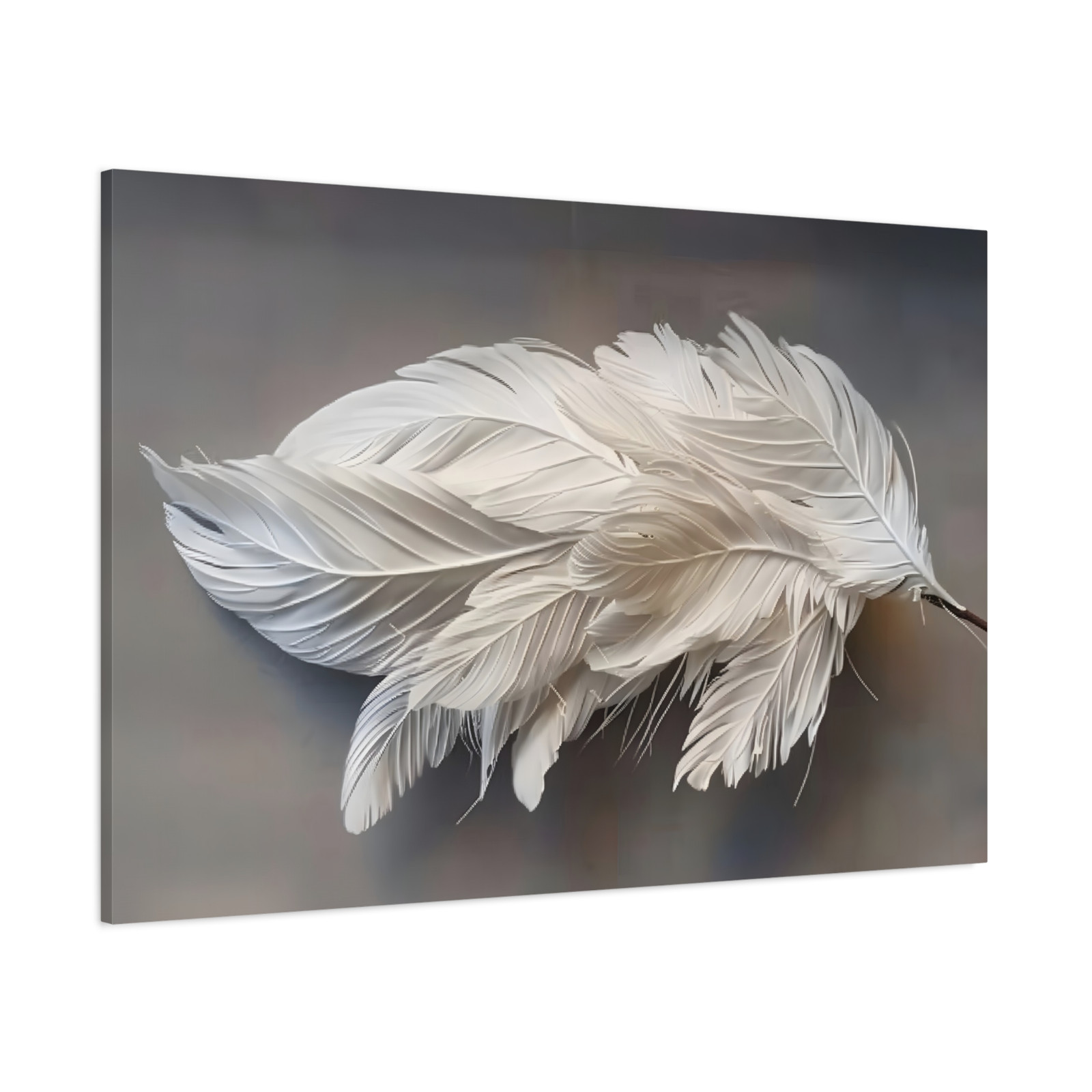 Feathers Canvas Print Framed Volumetrical Wall Art White Feathers Artwork 109