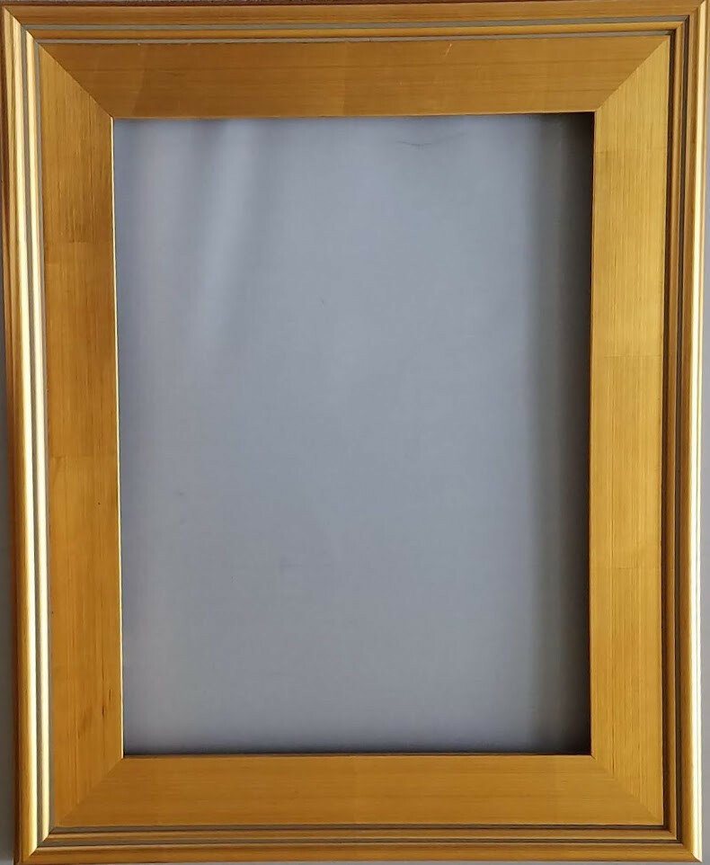 3” Anaelle Elegant,Classic picture/art Gold Leaf Wood Frame 12 x 16.