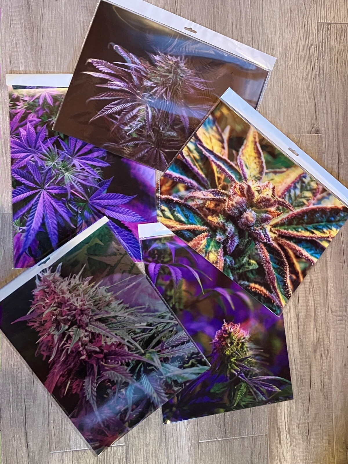 3D LENTICULAR CANNABIS POSTER / MARIJUANA / FRAMELESS WALL ART – BLUE SHERBET