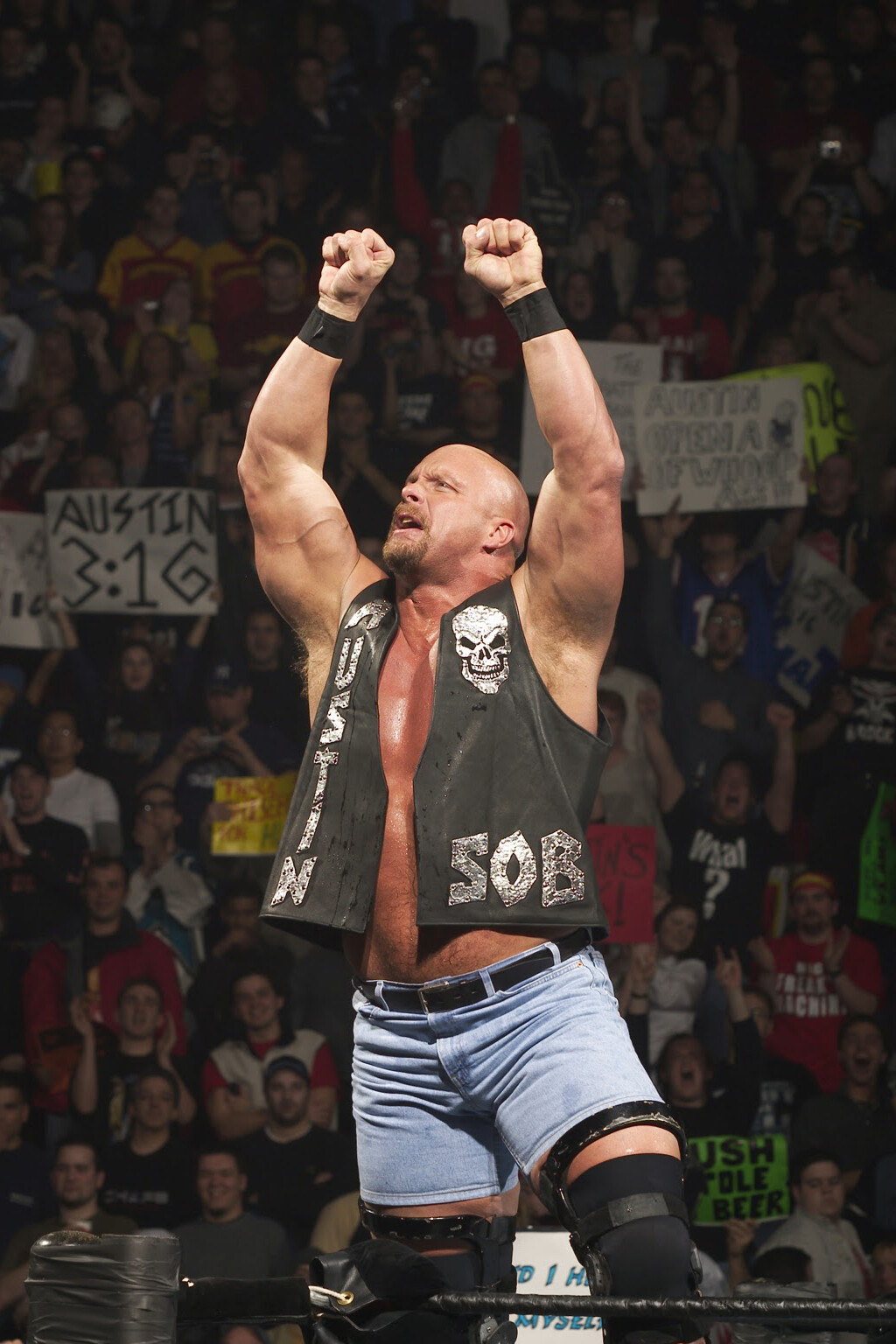 Stone Cold Steve Austin Poster Wall Art Decor Photo Prints 16×24, 20×30, 24×36