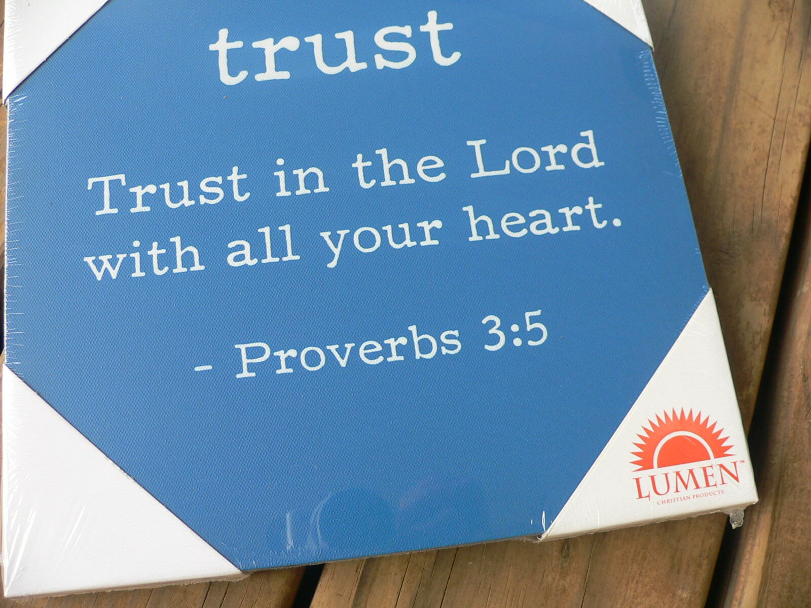 Bible Verse Wall Plaque – TRUST