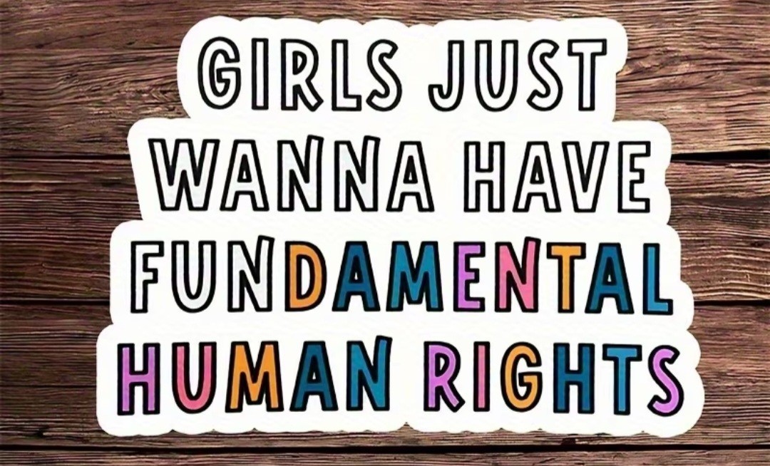 Girls Just Want Fundamental Human Rights Sticker. Feminism Free Shipping