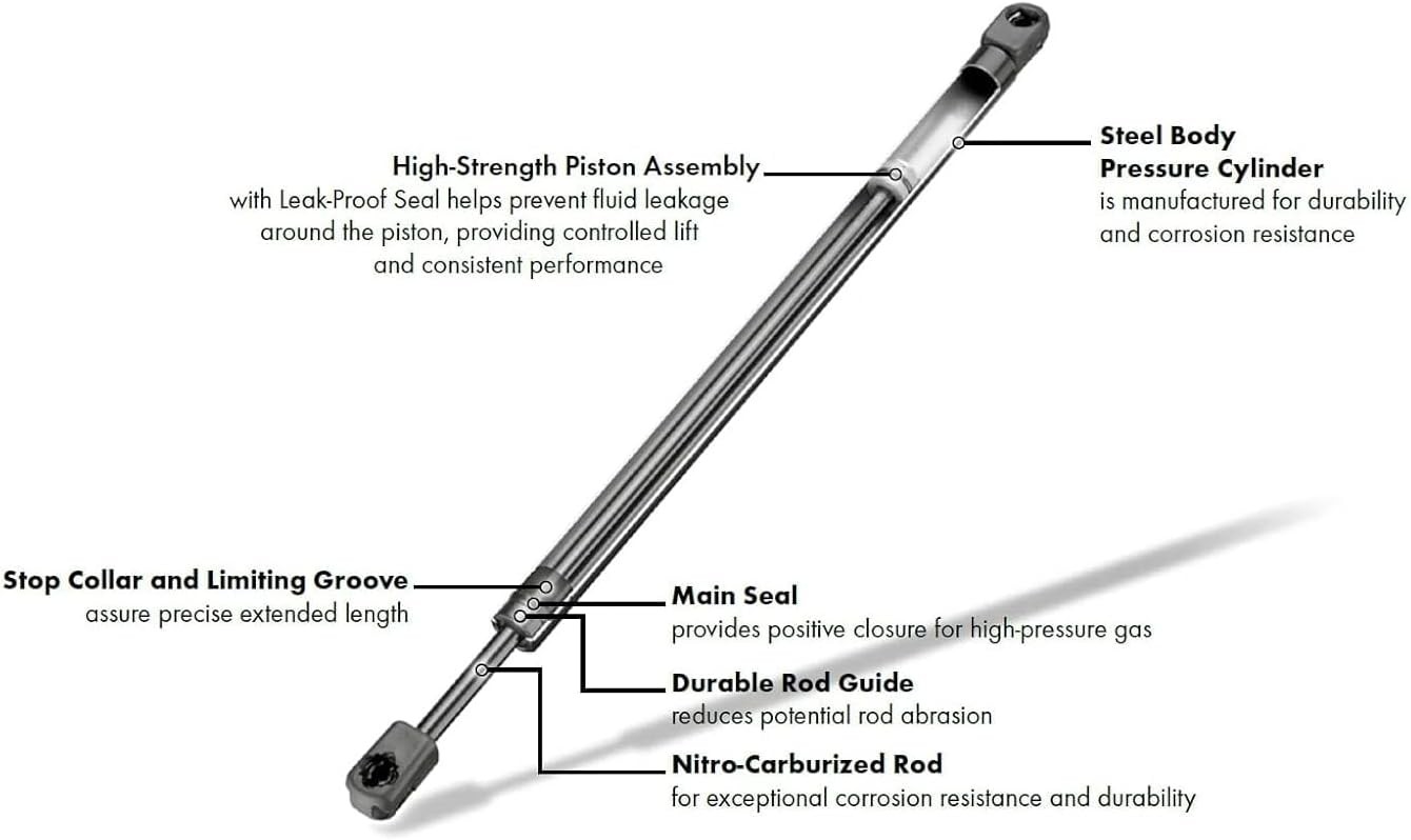 17.58 Inch 2Pcs Liftgate Trunk Struts Lift Supports Compatible with Toyota Prius