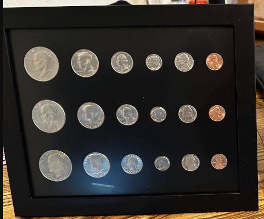 Custom Coin Mat and Frame | Silver Dollar Collection Wall Display | Any Coin!