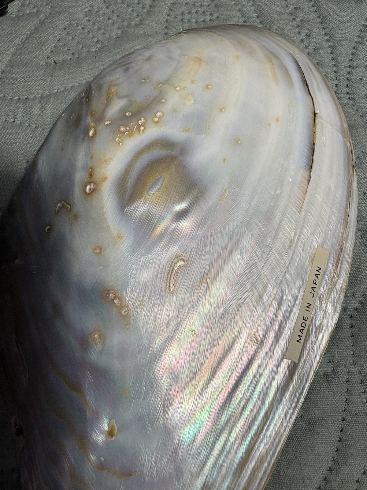 Vintage Mother of Pearl Serving Plate Polished Oyster Shell One 8&Prime; x 4.75 Dish 2