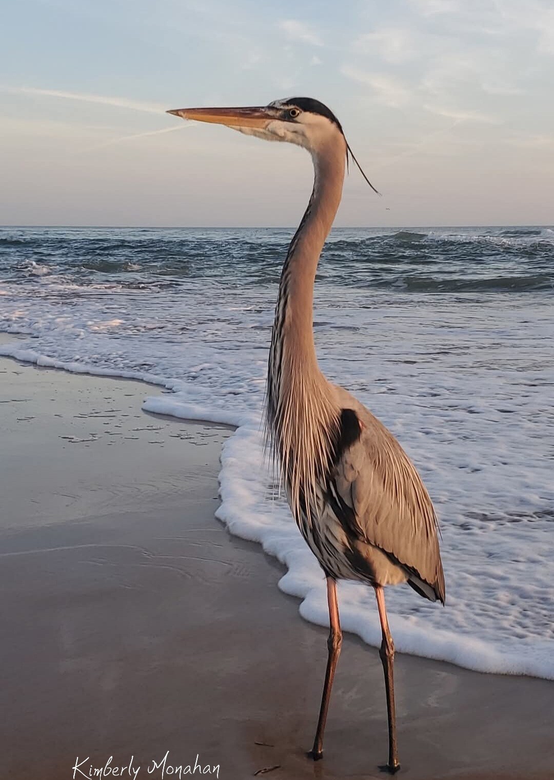 Daytona Beach, Fl 5×7