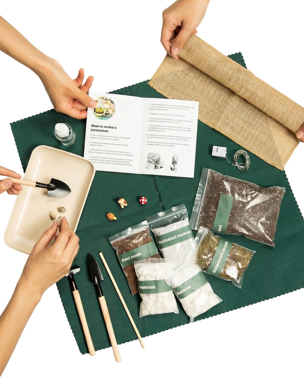 DIY Terrarium Kit with 13 Items Soil Pebbles Sphagnum Moss Activated Carbon B…