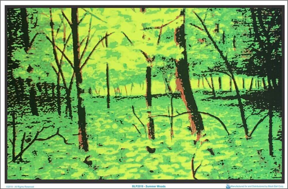 Summer Woods Blacklight Poster – 35&Prime; X 23&Prime;