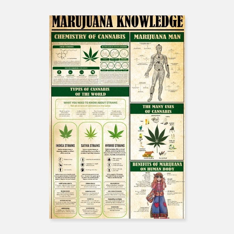 Vintage Cannabis Knowledge Art, Marijuana Knowledge Poster – Unframed