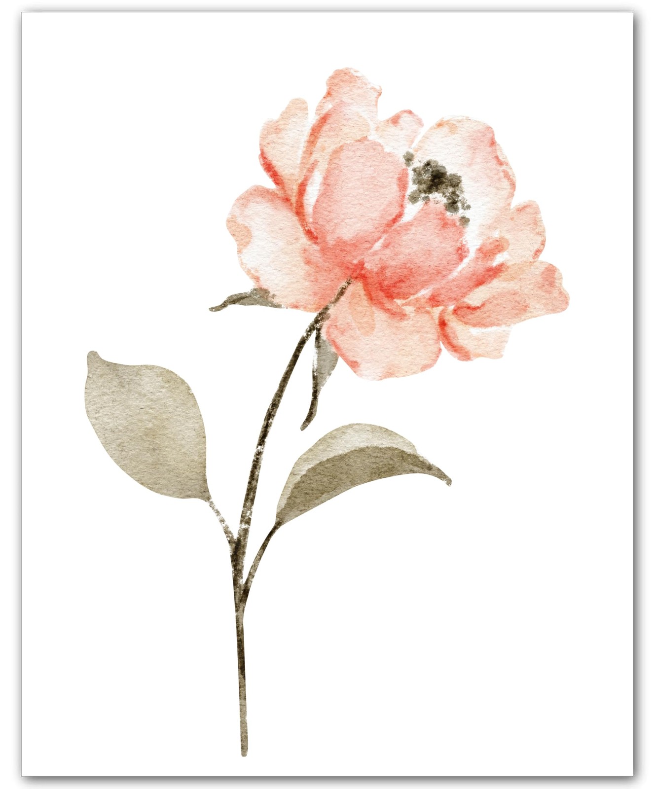 Botanical Peach Blush Flower Stem Peach Pink 8×10 Floral Print Wall Art Poster