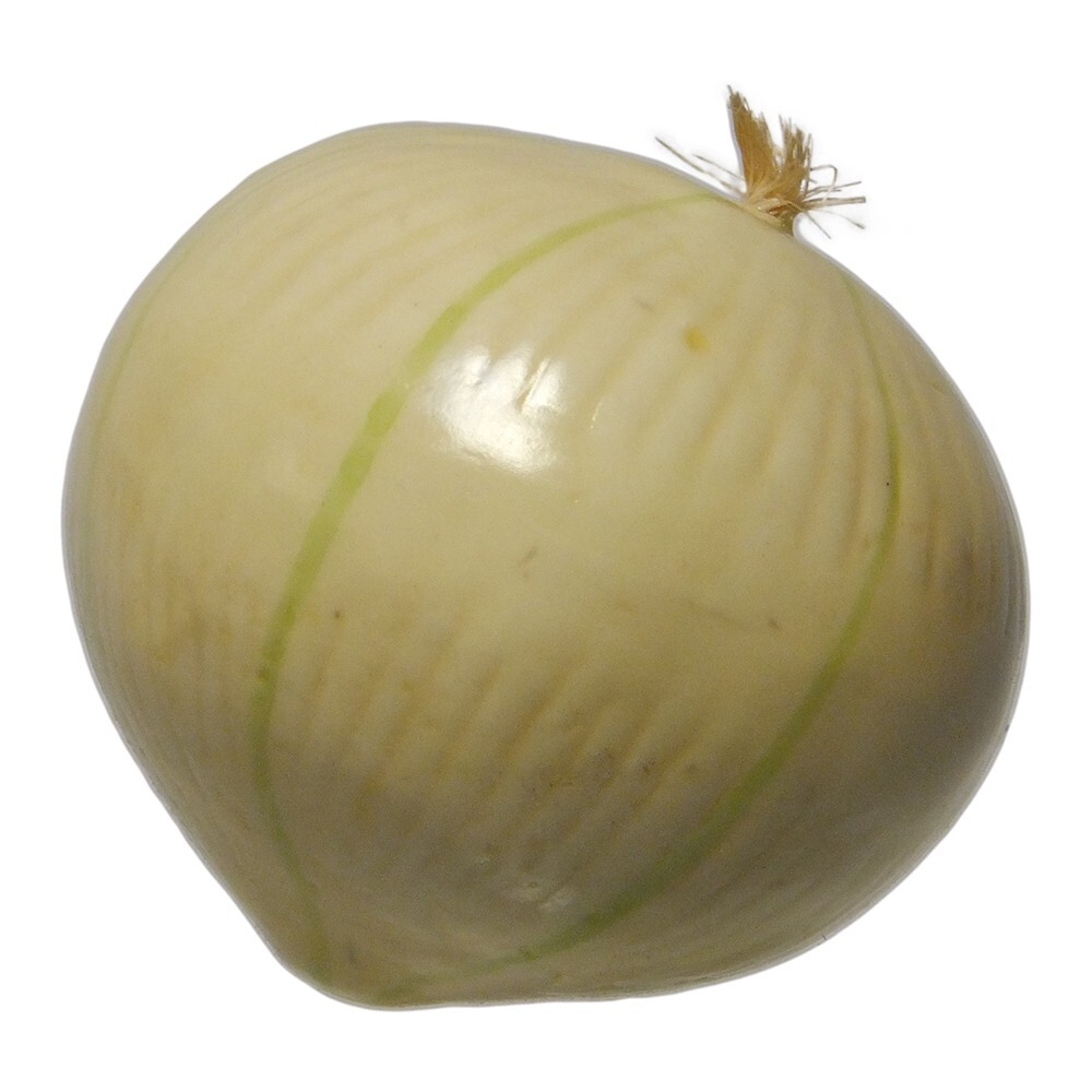 Artificial Onion White Beige – Plastic Vegetable Onions Fake Vegetables Cebolla