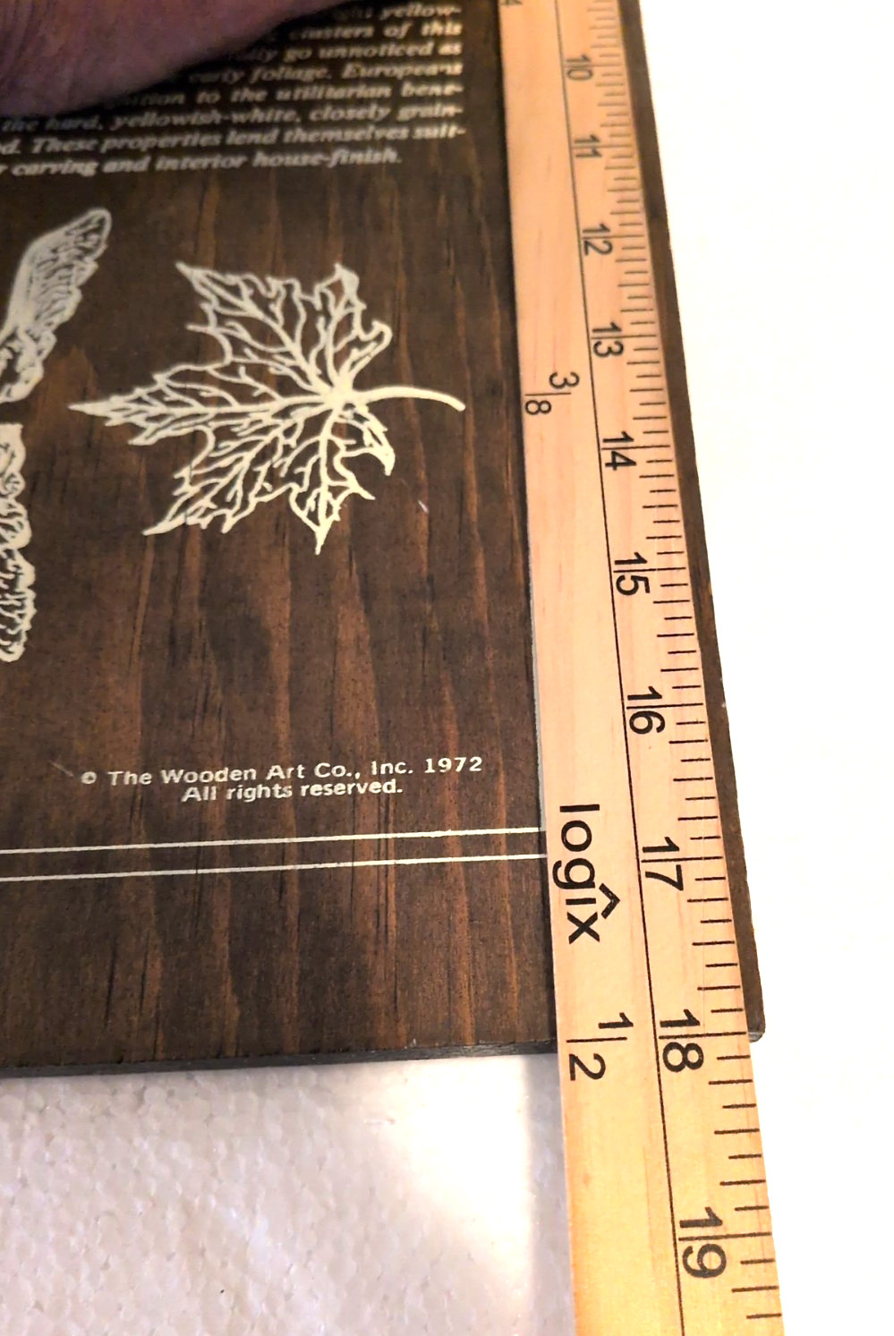 Vintage 1972 Wooden Art Co Tree Wall Plaques Set of 3 Norway Maple Oak Elm MCM