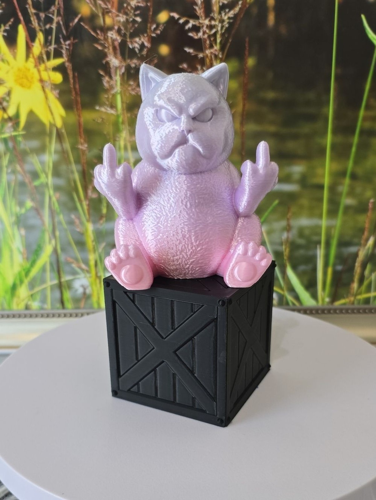 3D Printed Grumpy Cat Figurine on Crate Desk Decor Removable Cat IK3D