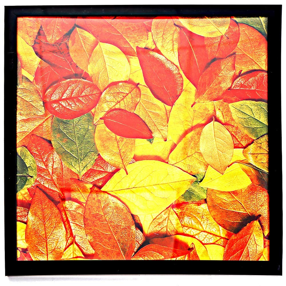 13X13 Picture Frame for Wall, Display Pictures 13X13 Square Record Album Frame,
