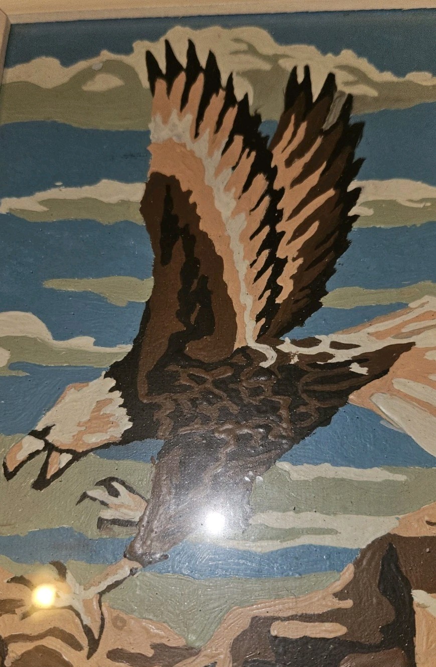 Vintage Paint By Numbers Eagle Ducks Retro Home Decor Painting 6&Prime; X 8&Prime; Framed