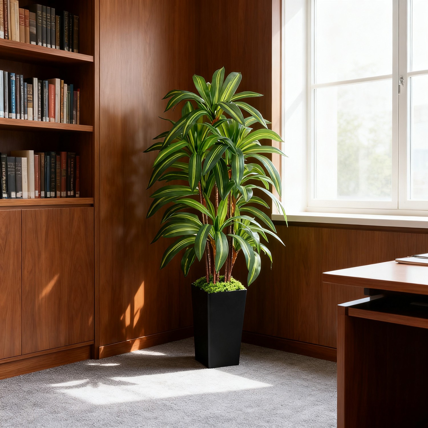Artificial Dracaena Tree with Lights, 5Ft Fake Plants Black Tall Planter Indoor