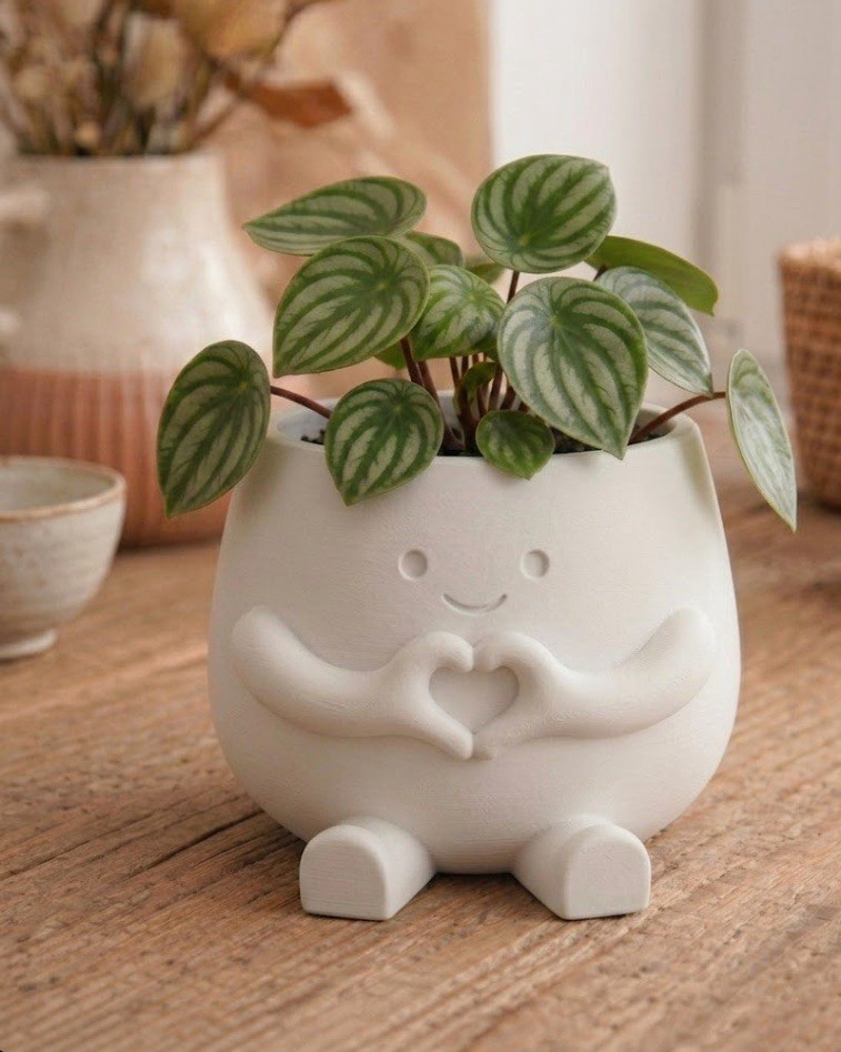 Hearty Pot Cute Heart Hands Decor Vase Indoor Plant Flower Pot Home Decor Vase