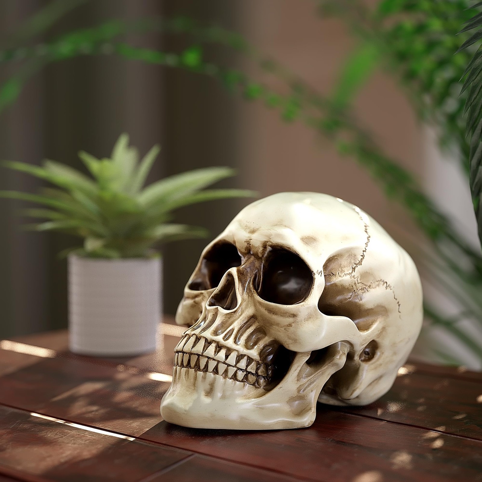 READAEER Life Size Resin Skull, Large Size Adult Skull Head Model for Home Decor