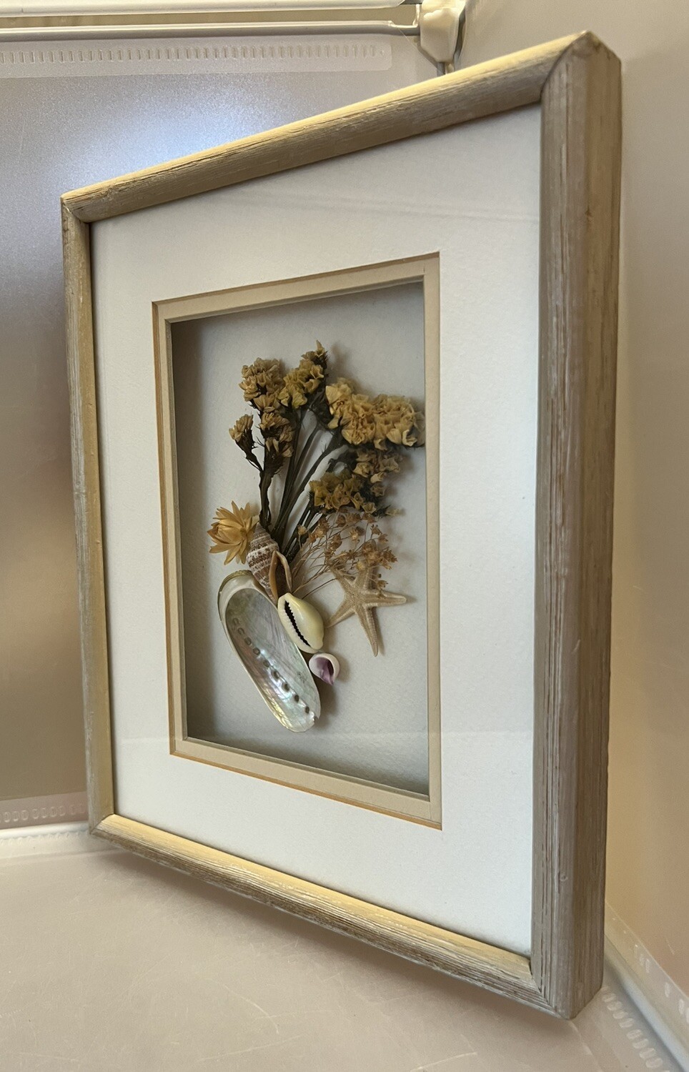 Vintage Seashell / Dried Flower Wood Framed Wall Art Shadow Box 11&Prime; x 8.5&Prime;