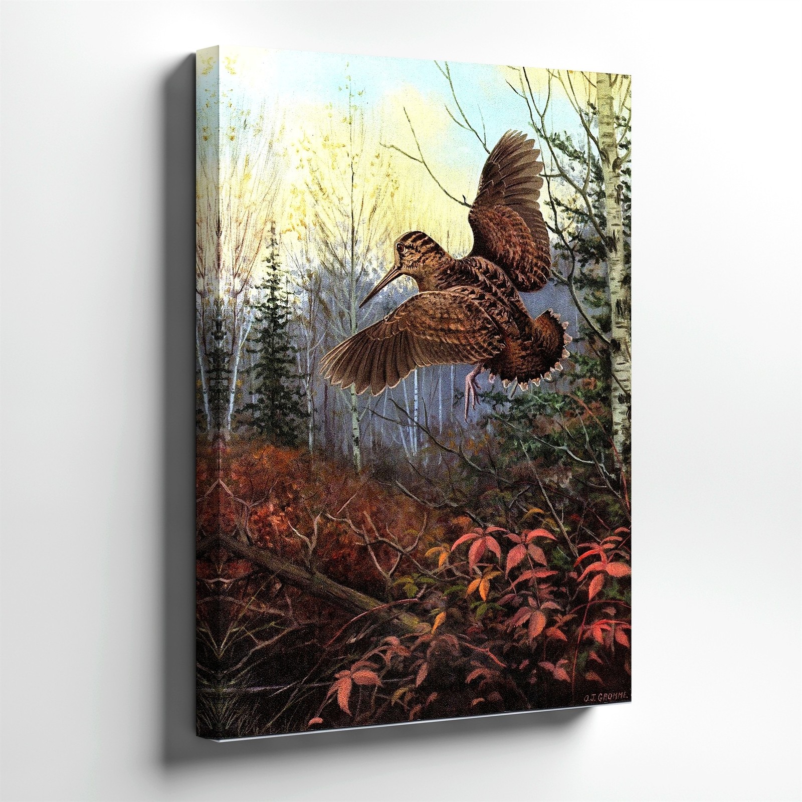 Wall Art Woodland Bird Print Flying Woodcock Forest Wildlife Nature Home Decor