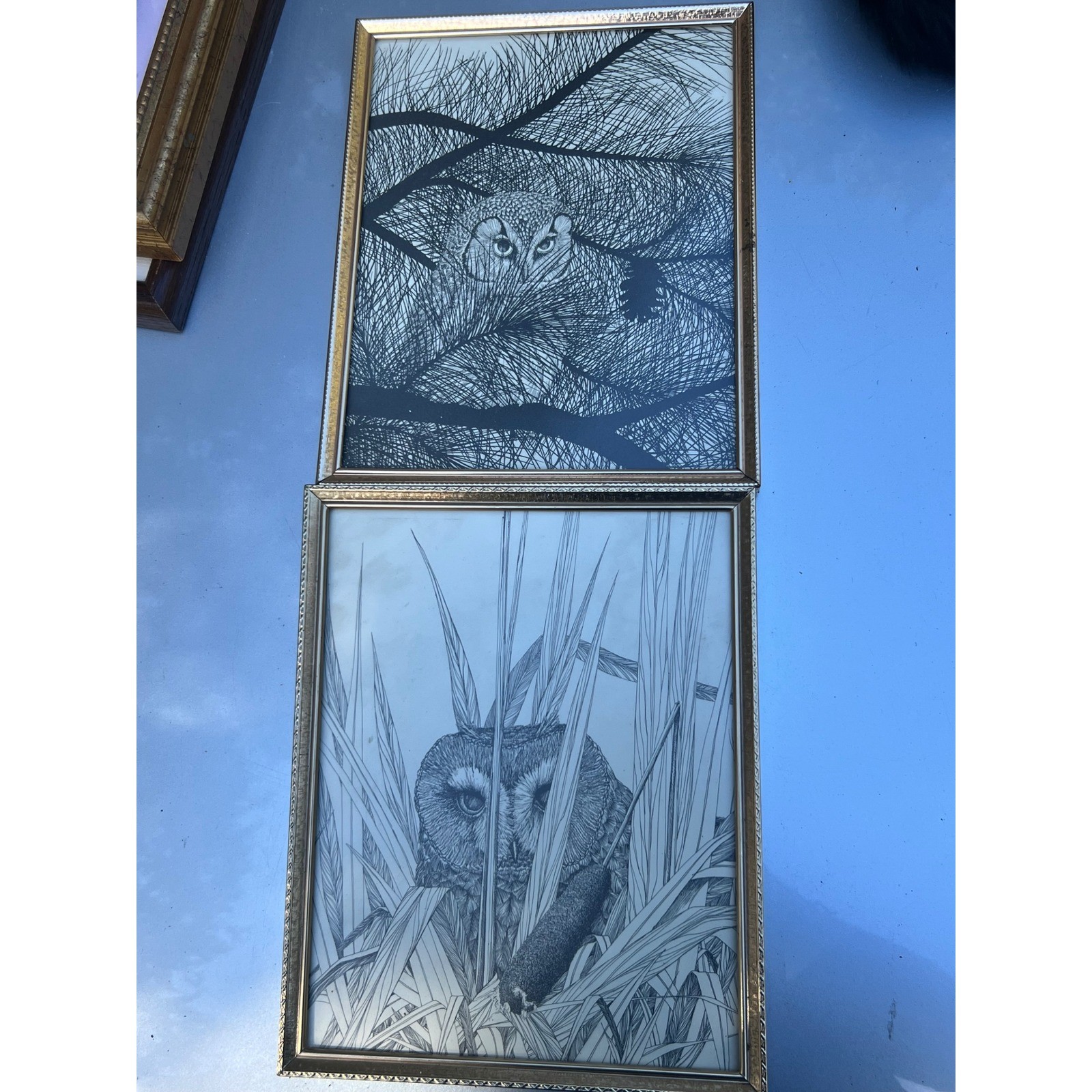 Pair of Framed Owl Pen & Ink Prints Black White Nature Wildlife Art Vintage