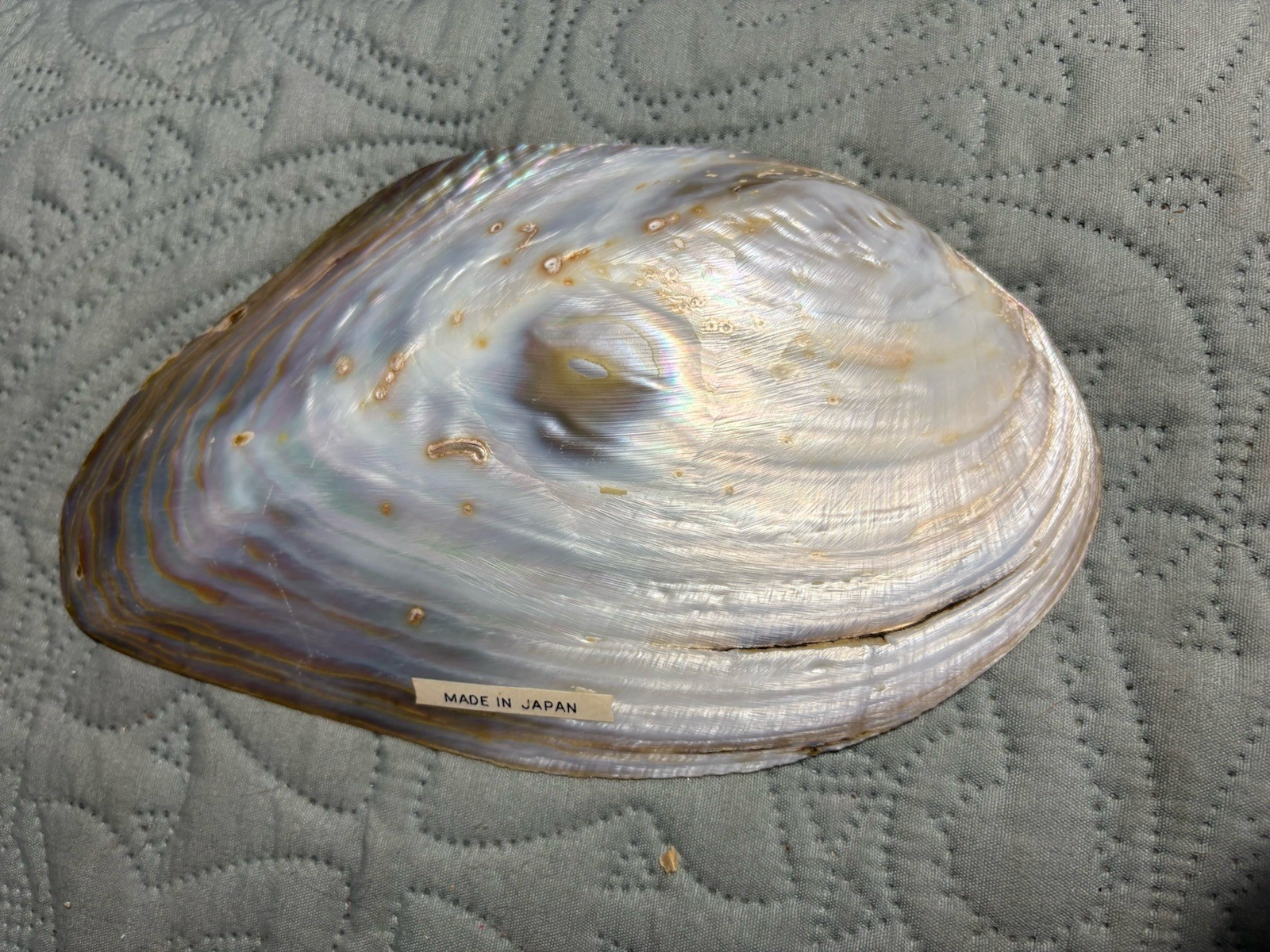 Vintage Mother of Pearl Serving Plate Polished Oyster Shell One 8&Prime; x 4.75 Dish 2