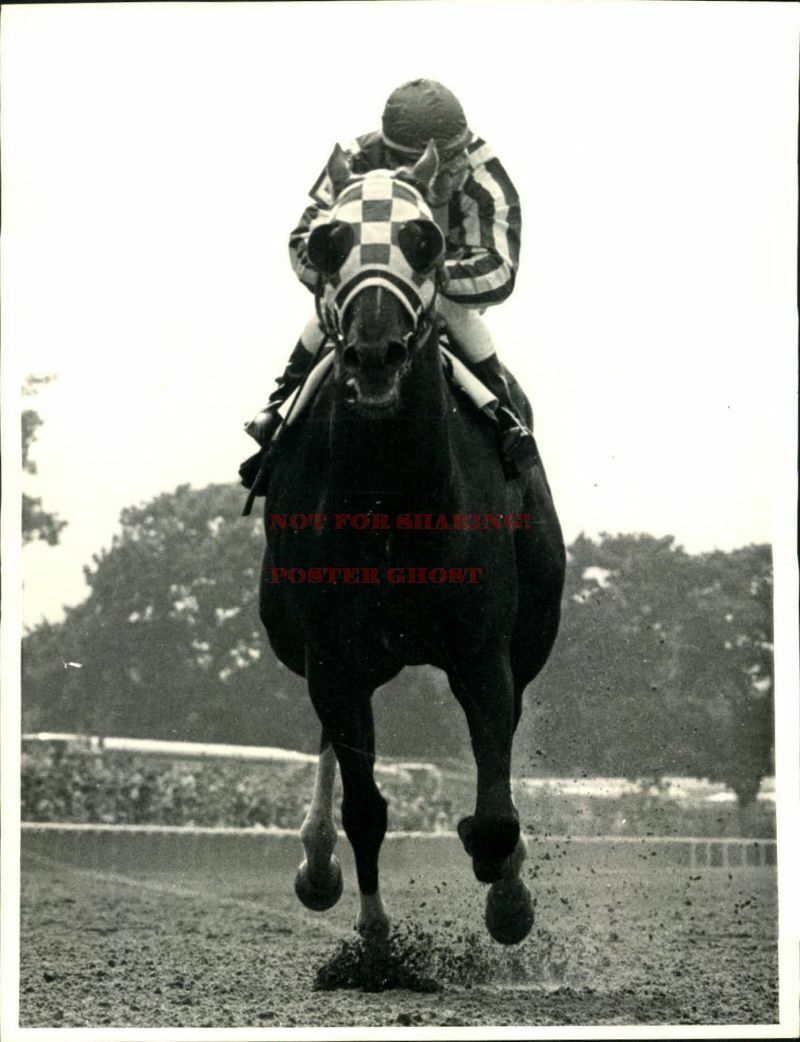 Triple Crown Horse Photo Poster: SECRETARIAT Poster 2 (20×30)