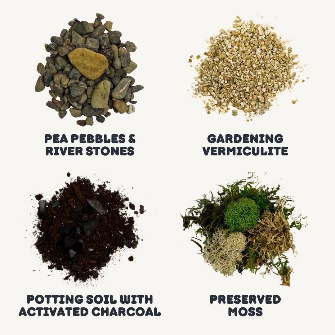 DIY Succulent Terrarium Kit with Soil, Pebbles, Tools & Care Guide for All Ages