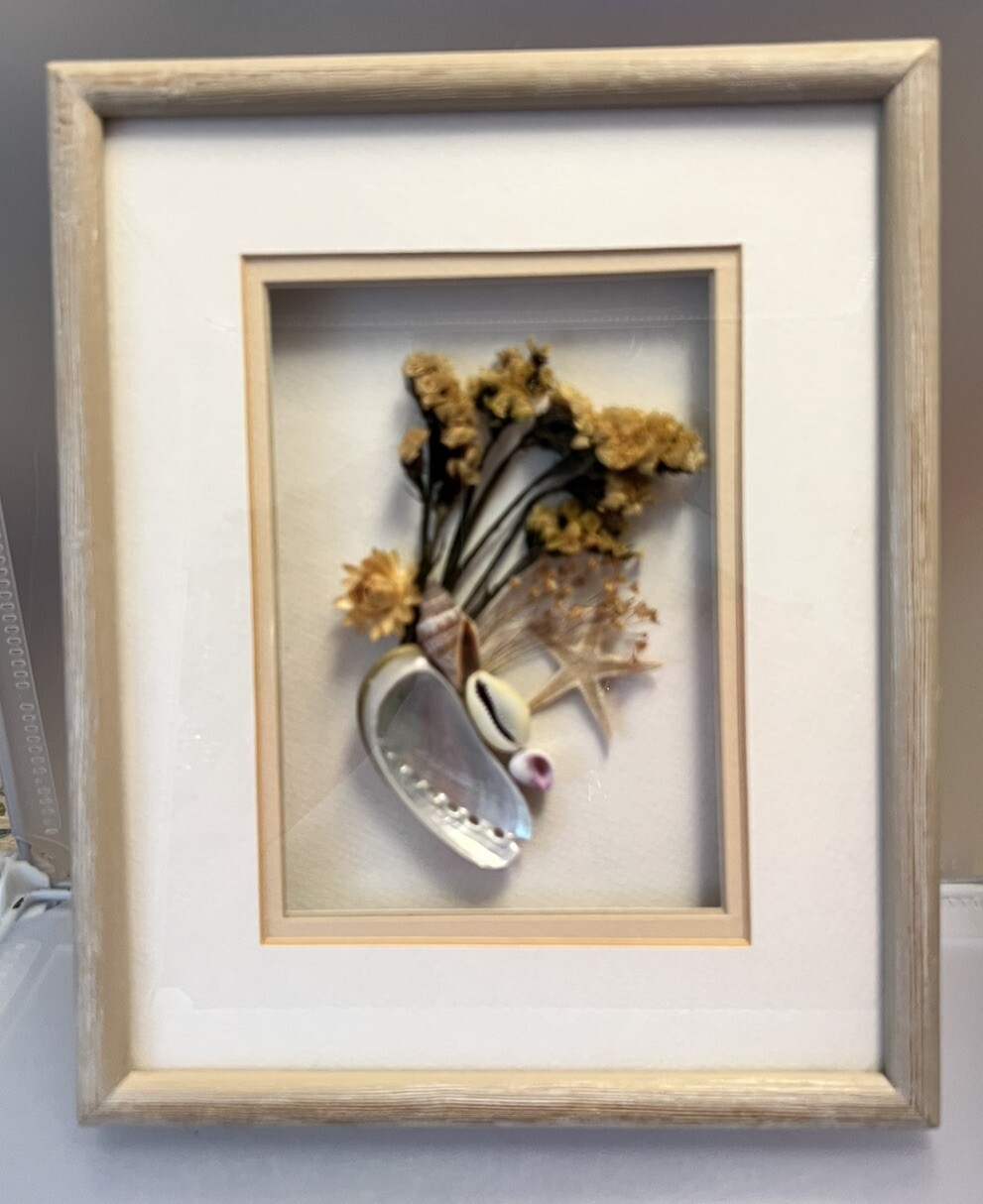 Vintage Seashell / Dried Flower Wood Framed Wall Art Shadow Box 11&Prime; x 8.5&Prime;