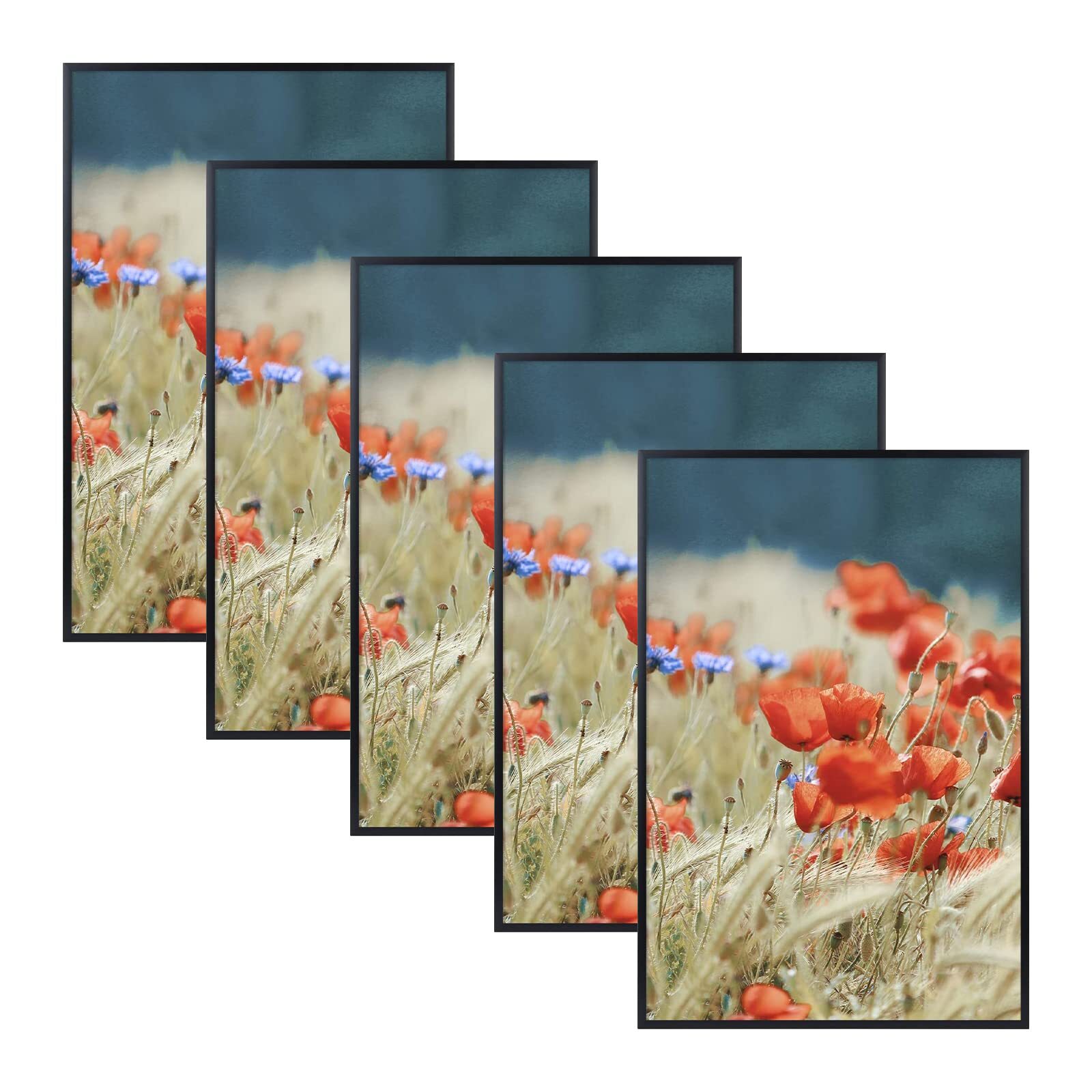 6 Pack 12×18 Black Aluminum Metal Poster Picture Frame Acrylic Front Gallery
