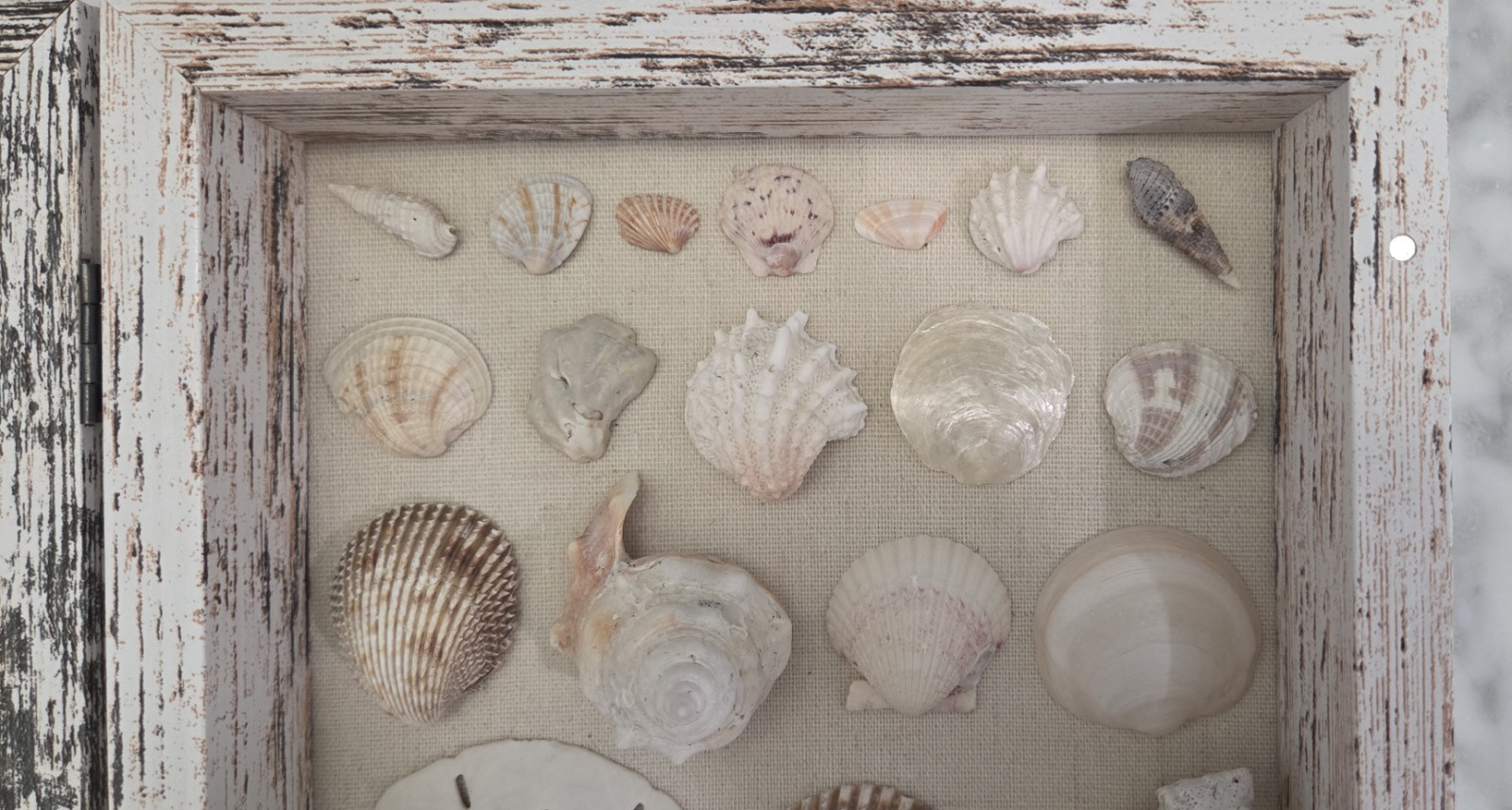 Handmade Florida Gulf Coast Seashell Shadow Box 8×8 Beach Coastal Decor Wall Art