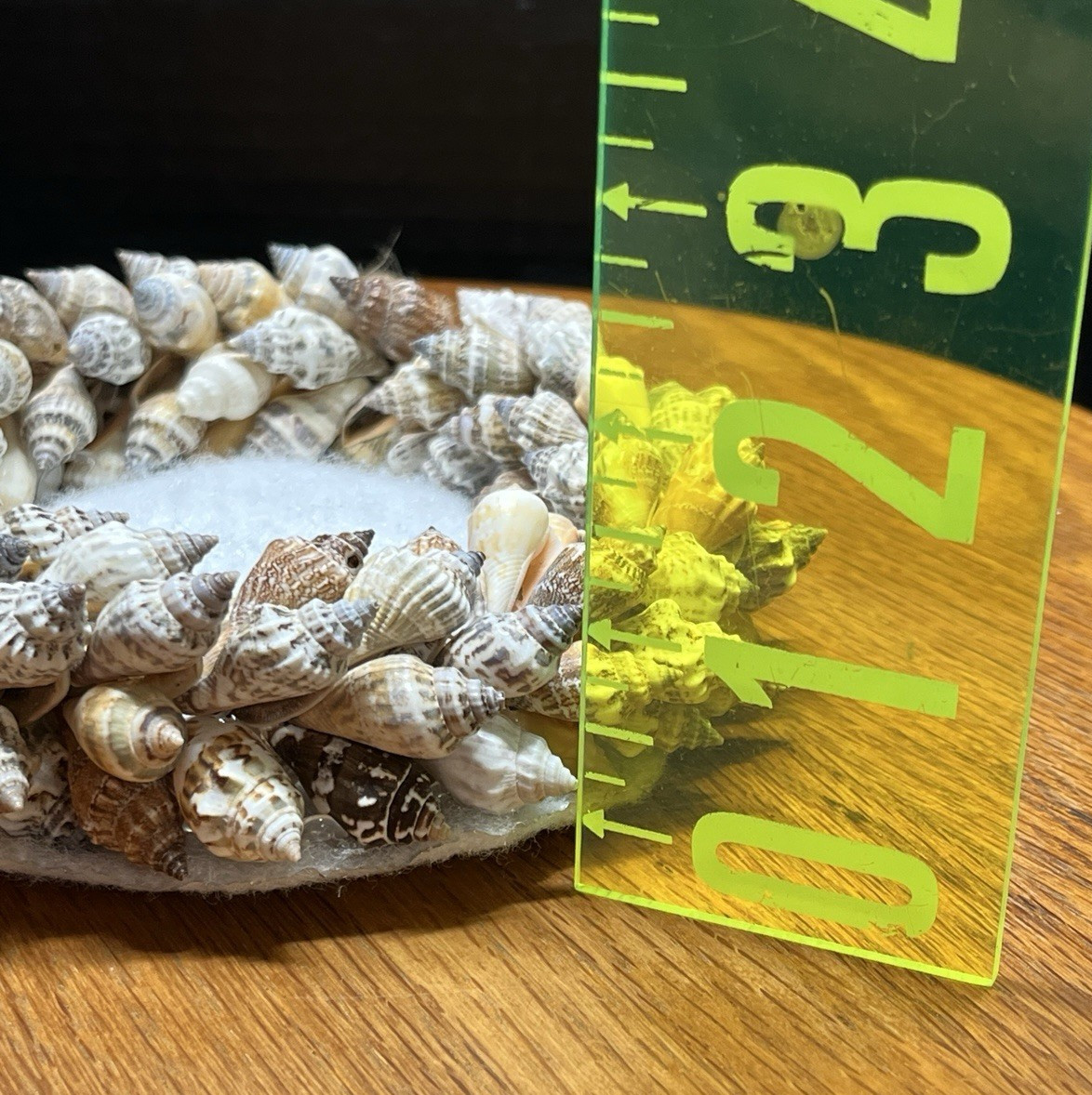Brown Chula Wired Round Sea Shell Wreath 3.5&Prime; In – 6.5&Prime; Out Nautical Beach Decor