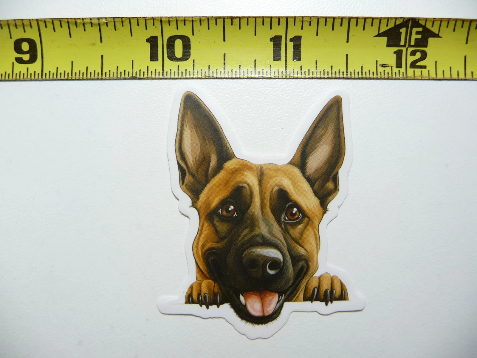 PEEKING BELGIAN MALINOIS SMALL STICKER DECAL PUPPY DOG PET LOVE PEEK A BOO