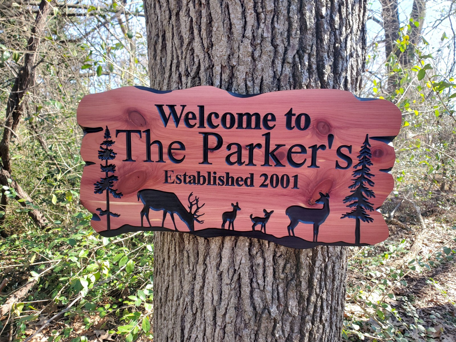 Custom Outdoor Family Name Sign Carved Wood Rustic Plaque Established Date Deer